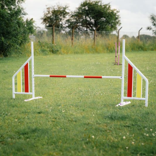 White Dog Agility Jump