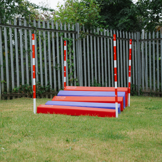 Soft Long Jump With Spiked Poles