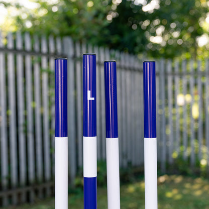 Soft Long Jump Poles (4pk)